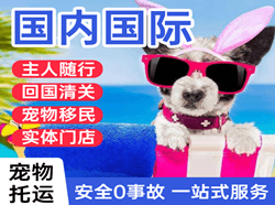 呼和浩特白塔航空快递国际宠物托运 【国